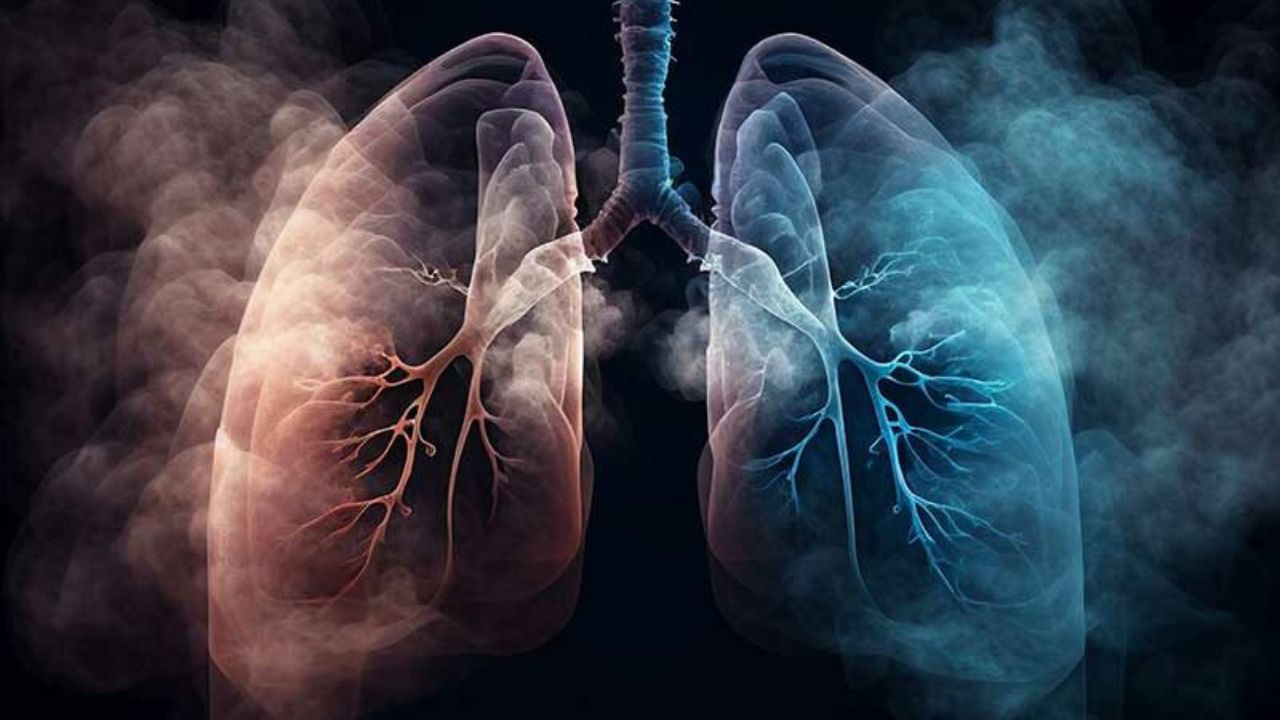 No Smoking Day: Smoking damages the lungs, know the preventive measures