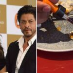 Starchy paneer found in Gauri Khan Torii restaurant, food bloggers claim created a sensation