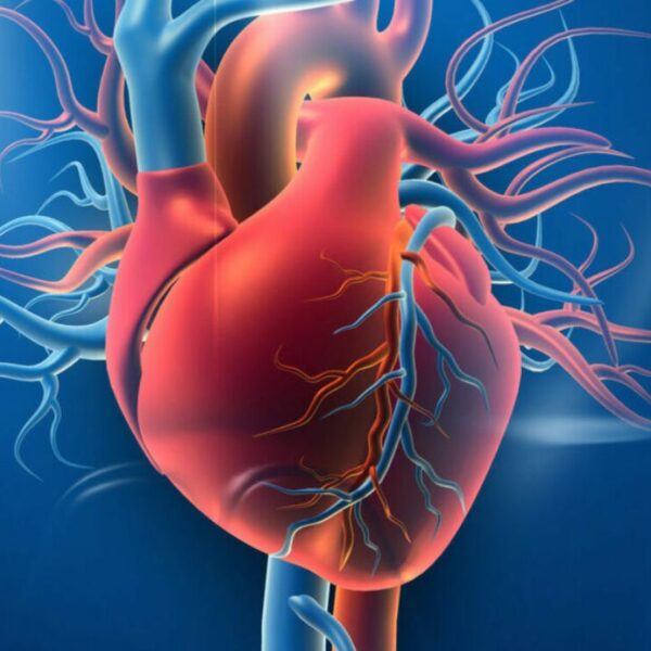 Identify heart disease in time, know the early signs of heart attack