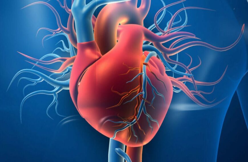 Identify heart disease in time, know the early signs of heart attack