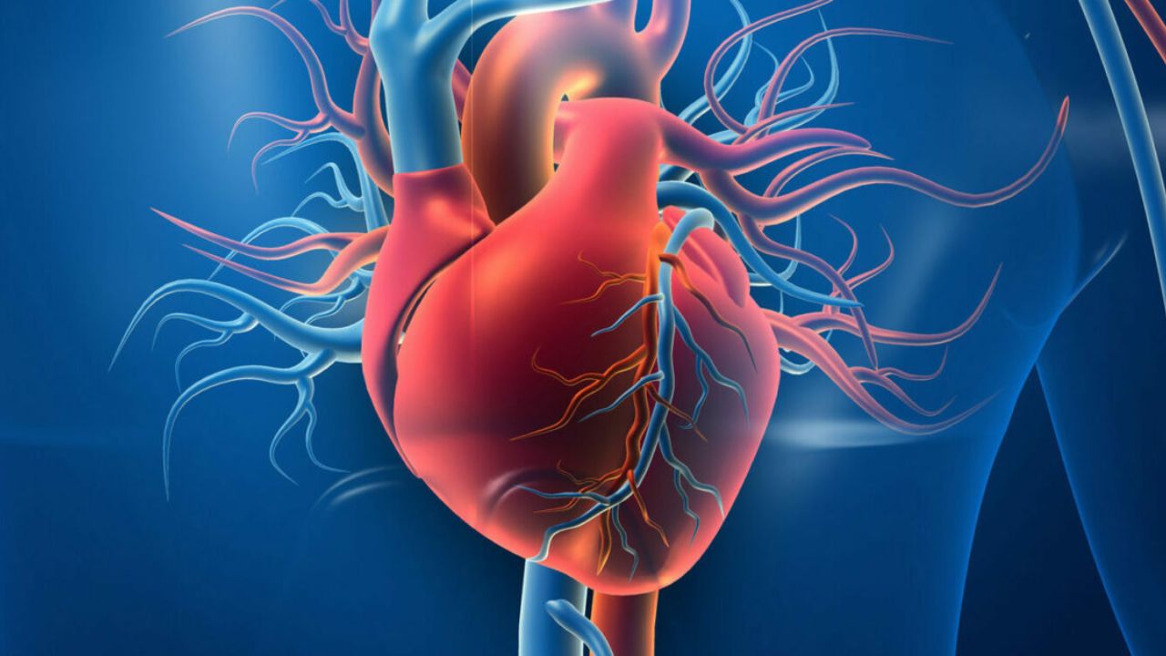 Identify heart disease in time, know the early signs of heart attack