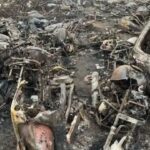 Fire in Delhi Traffic Police yard causes devastation, vehicle owners will not get compensation!